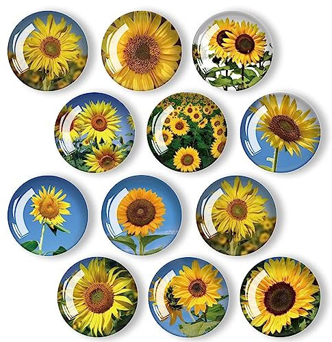 Kühlschrankmagnete aus Glas, Dekoration für Klassenzimmer, Spind, Büro, Whiteboards, Schrank, Spülmaschine und magnetische Oberflächen (Sonnenblume), 12 Stück