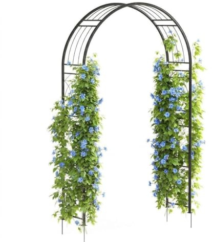 Rosenbogen Aus Metall Rankgitter Rosenhilfe 150x45x240 cm—Garten Decoration Und Verzierung Kletterer Wetterfest Rosenranken, Hochzeit, Weihnachten, Geburtstag