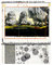 Christo Poster Kunstdruck Bild Wrapped Trees Nr. IV (Riehen) 39x30cm