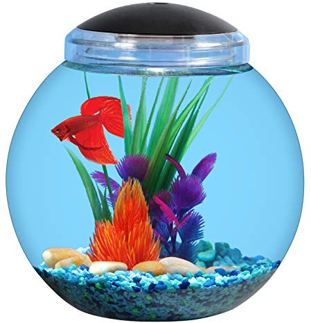 KollerCraft API Betta Kit Gumball Fischbecken, 2 Gallonen Aquarium für Betta-Fische aus bruchfestem Kunststoff