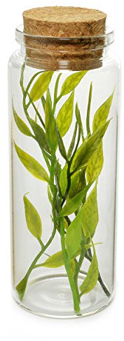Ganzoo Set Mini – Botella de Cristal con Corcho para decoración, Farmacia de biberones/Wilai – Botella, Guardar o como muñeca biberones/Decoración/Manualidades/corchos de Botellas – Marca