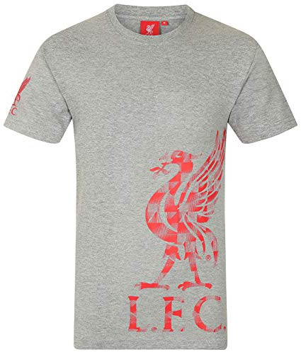 Liverpool FC Official Football Gift Mens Graphic T-Shirt Grey Large