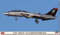 Hasegawa 2444 1/72 F-14D Tomcat VF-101 Grim Reapers 2002 Modellbausatz, Mehrfarbig