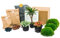 urbanjngl.com - Flaschengarten Paket Palme - 3 Pflanzen - Nachfüll & Starterpaket DIY - Pflanzenterrarium Nachfüllset - Pflanzen-Terrarium-Paket - Terrarium Refill Palm