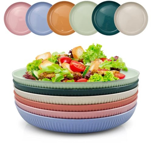 Zfseyuh Juego de 6 Platos Plastico, Platos Irrompibles 23 CM platos llanos Platos de Plástico Profundos Platos de Picnic para Ensalada Pasta Fiesta Hogar Oficina Microondas y Lavavajillas