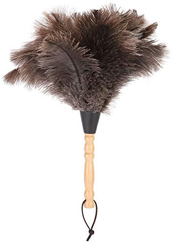 Plumeau en plumes d'autruche, Plumeau à ressort avec poignée en bois, accessoire de nettoyage réutilisable à la main en plumes d'autruche