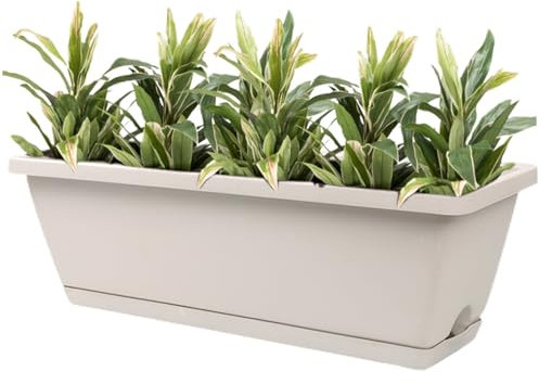Jorzer Jardinière rectangulaire de 43,2 cm avec trous de drainage et plateaux, bac à fleurs en résine pour rebord de fenêtre, jardin, balcon, terrasse, décoration intérieure et extérieure