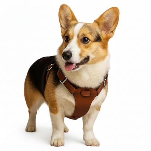 Hundegeschirr kleine Hunde aus echtem Rindsleder - Hundegeschirr Leder für Dackel, Chihuahua & co - verstellbares Welpengeschirr - Geschirr für kleine Hunde für Spaziergänge & Alltag (S)