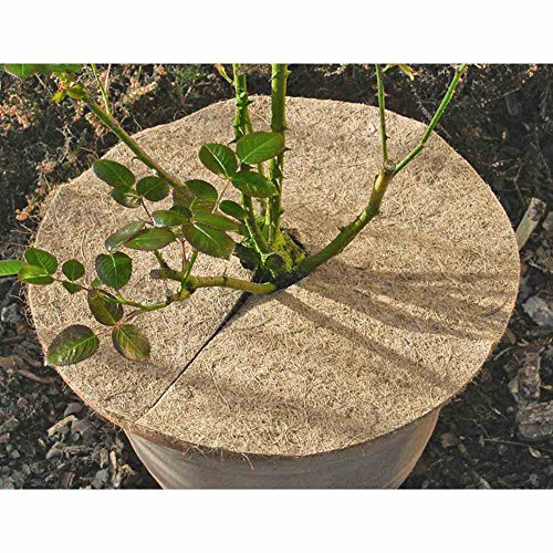 Star 3073230 Kokos-Mulchscheibe Durchmesser: 45 cm