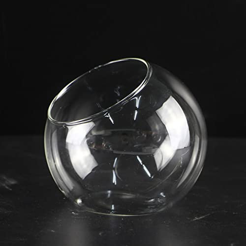 Vase en verre paysage pour plantes succulentes Terrarium Pot de fleurs (8 cm)