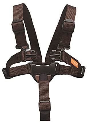 Leander Hochstuhl, Sicherheitsgurt