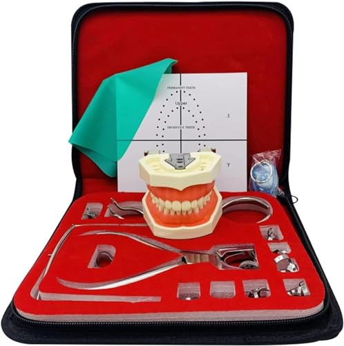 MASKIS Dental Endodontie Kofferdam Set, Kofferdam Perforator Stanzer, Kofferdam Stanzbrett Übungswerkzeug Set, mit Zahnmodell/Zahnseide/Positionierungsplatte für Die Prüfung Zum Zahnarzt