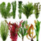 Live Aquarium Plant Stems Bunched for Tropical Fish Tanks Coldwater Aquatic Assorted Plant Variety (5)