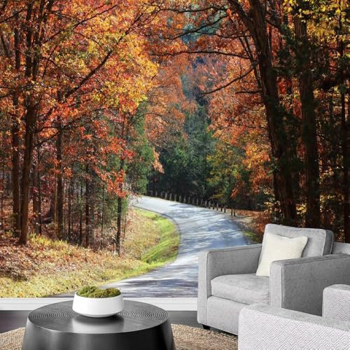 GIVLWF Autumn Wallpaper Photo, Fall Woods Path Wall Mural Wallpaper, Forest Mountain Murals Wall Art Wallpaper, Road Photography Mural for Dining Room Kitchen Home - 500x305 cm