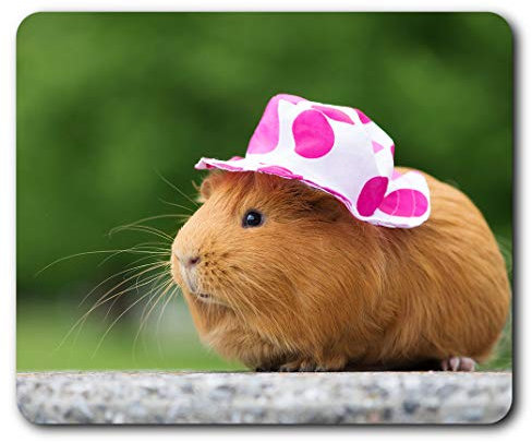 Sweet Guinea Pig Lady Female Mouse Mat Pad Computer PC Laptop Gaming Office Home Desk Accessory Gadget 24494