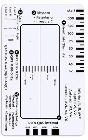 Elektrokardiogramm 7 Stufengelurnerkarte Für Genaue Interpretation Und Schnellanalyse Innenbereich Der Medicals Einstellung
