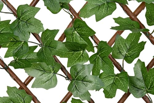 Boston Ivy Willow Expandable Trellis Fence - 90cm x 180cm