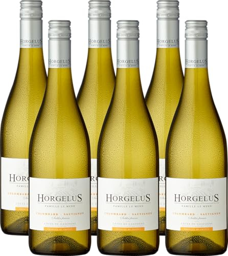 Horgelus Colombard-Sauvignon Côtes de Gascogne I.G.P. (6x 0,75l) - Trockener, aromatischer Weißwein mit Zitrus- und frischen Apfelnoten