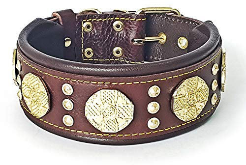 Bestia Maximus Echtleder Hundehalsband für große Hunde. 100% Leder. Weich gepolstert. 6,3 cm breit. Einzigartiges Design und Qualität.