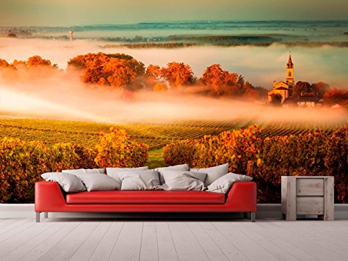 Fotomural Vinilo para Pared Paisaje Puesta de Sol Francia | Fotomural para Paredes | Mural | Vinilo Decorativo | Varias Medidas 350 x 250 cm | Decoración comedores, Salones, Habitaciones.