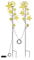 Luna24 simply great ideas... LED Gartenstecker Sternenzauber 2er Set inkl. 6h Timer beeindruckender Lichterglanz. Tolle Gartendeko Balkon, Deko Solarlampen, Solarleuchten.