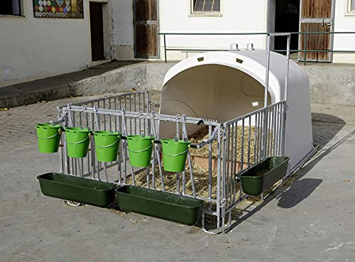 Kerbl 14520 Premium XL circircalfhouse mit Umzäunung, 238cm x 223cm x 189cm
