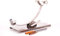 FERRETERIA LEPANTO JAMONERO BASCULANTE Acero Inoxidable + Regalo Cuchillo Y CHAIRA