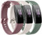 Vancle für Fitbit Inspire Armband/Fitbit Inspire HR Armband Damen Herren,Silikon Sport Ersatzarmbänder Uhrenarmband für Fitbit Inspire 2 Armband/Fitbit Ace 2(S,Violett/Starlight/Avocadogrün)