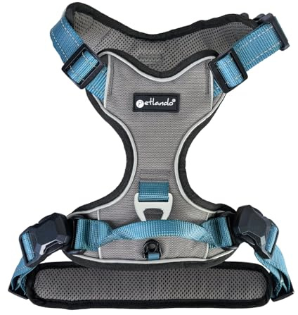 Petlando Hundegeschirr Magnetech– Innovative Magnetschnalle, mit Griff, Zwei D-Ringe, reflektierend, atmungsaktiv – anthrazit/Petrol, M (Halsumfang 42-54cm, Brustumfang 56-68cm), mittelgroße Hunde