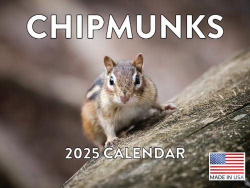 Chipmunks Wandkalender 2021, 12 Monate monatlich, volle Farbe, dicke Papierseiten, gefaltet, fertig zum Aufhängen, 45,7 x 30,5 cm