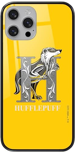 Ert Group Official Licensed Harry Potter Harry Potter 203 Tempered Glass Phone Case for Apple Iphone 13 MINI