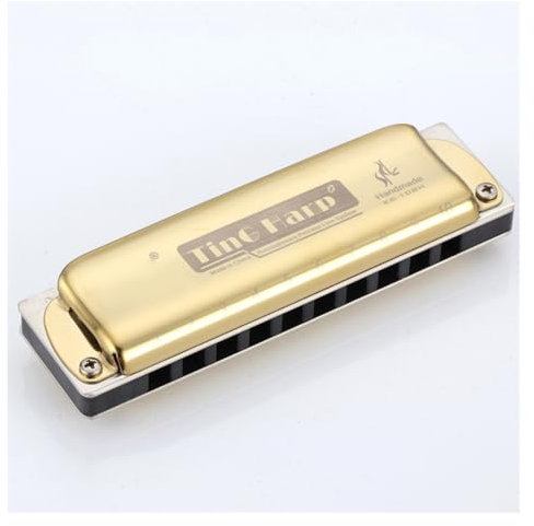 10-Loch-Blues-Mundharmonika Blues-Instrument Spielpraxis Anfänger Mundharmonika lernen klassische Mundharmonika(Gold)