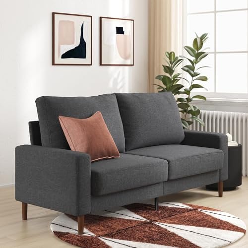 Zinus Sofa 2-Sitzer, 158cm x 88cm | 50cm extra Tiefe Sitze | Für Wohnzimmer, Schlafzimmer/Spielzimmer | Werkzeuglose Montage | Sofa/Liege mit Armlehnen | Designed in Germany | 2 Jahre Garantie - Grau