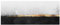 Bilderwelten Spritzschutz-Glas Küche - Goldener Horizont Schwarz Weiß - Panorama 50 x 125cm