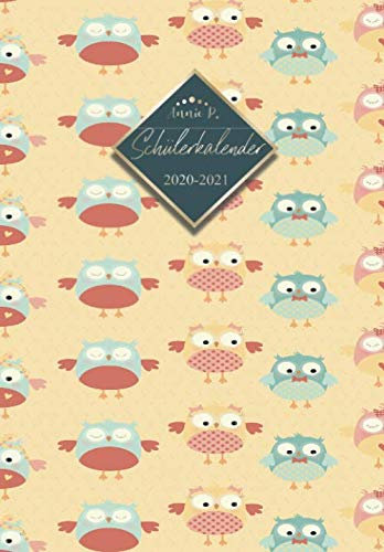 Schülerkalender 2020 / 2021: Schulplaner von August 2020 bis Juli 2021 / Praktischer Schülertimer zum notieren, planen und organisieren aller ... Kalender für das Schuljahr 20/21 Motiv Eulen