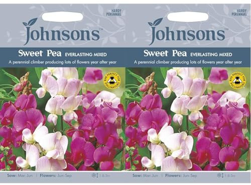 Johnsons 16670 Flower Seeds, Sweet Pea Everlasting Mixed, Pink,White (Pack of 2)