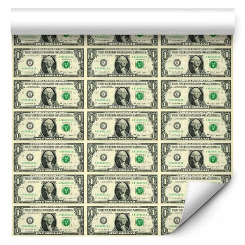 murando - Tapete selbstklebend 10m Wandtattoo dekorative Möbelfolie Dekorfolie Fotofolie Panel Wandaufkleber Wandposter Wandsticker - Geld Dollars Geldscheine f-A-0303-j-a
