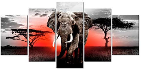 decomonkey - Impression sur Toile Afrique Animau 100x50 5 Pièces - Tableau Décoration Appartement Déco Salon Peinture sur Toile Afrique arbres rouges soleil éléphants coucher de soleil animaux