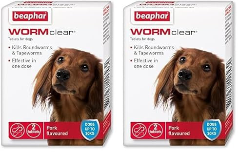 Beaphar WORMclear Tablets for Dogs, Kills all Common UK Intestinal Worms (Roundworms and Tapeworms), Vet Strength Treatment, Pork-Flavoured, 2 Tablets, Up to 20 kg (Pack of 2)