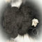 Natur-Fell-Shop Wolle Schafwolle Schurwolle STRICKGARN DUNKELGRAU 1000g