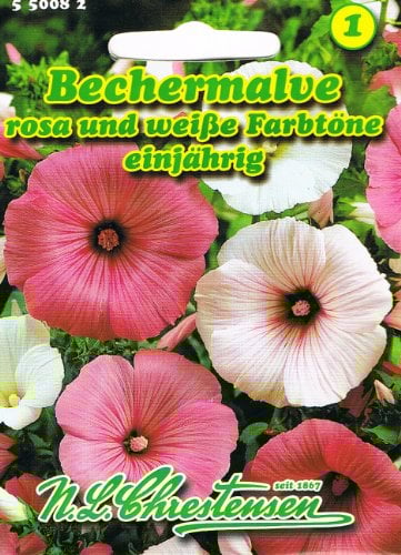 Bechermalve rosa -weiße Farbtöne ,farbenprächtig, reichblühend 'Lavatera trimestris'