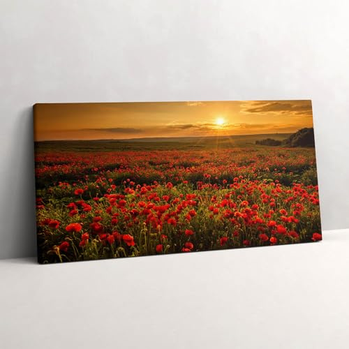 Wallfluent 120x60 cm Wohnzimmer Schlafzimmer auf Leinwand Wanddekoration Kunstdruck Wandbilder Heimdekoration Bilder Leinwand - Landschaft einer Wiese mit Mohnblumen