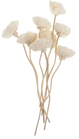 Cabilock 16stücke Teiliges Aromatherapie Rattan-stäbchen Für Duftdiffusoren Natürliche Blumen-Dekoration Aromazubehör Für Zuhause Schlafzimmer Und Küche