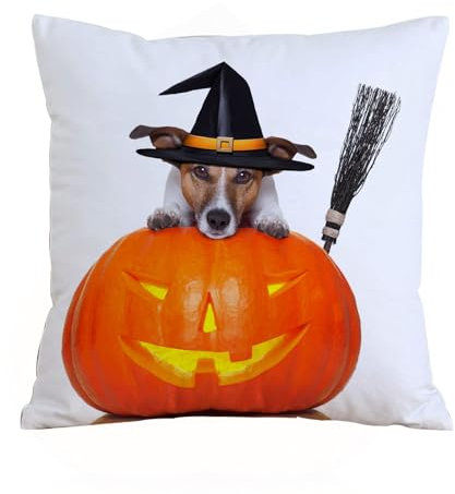 ERRTU Throw Pillow Case Pillowcase Square Printed Cushion Cover for Living Room Sofa Couch Bed Car,Halloween,Witch Dog with a Broomstick on Large Pumpkin Fun Humorous Hilarious,20x20 in