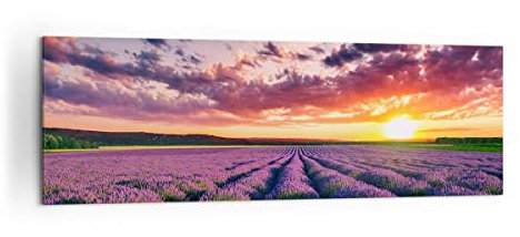 Panorama Bilder auf Leinwand 160x50cm Leinwandbild Lavendel Berge Feld Groß XXL Wanddeko Bild Schlafzimmer Küche Wandbilder Dekoration Wohnzimmer Wall Decor Canvas Wand Kunstdruck Art AB160x50-3816