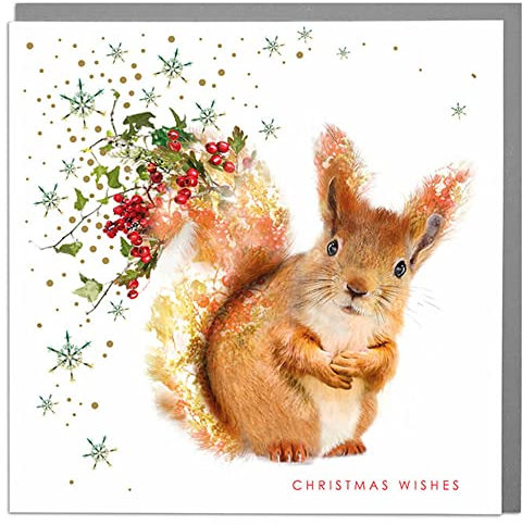 Lola Design Weihnachtskarten mit Aufschrift Wildlife Wonderful Christmas, Blanko-Karten und Umschläge, rotes Eichhörnchen