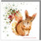 Lola Design Weihnachtskarten mit Aufschrift Wildlife Wonderful Christmas, Blanko-Karten und Umschläge, rotes Eichhörnchen