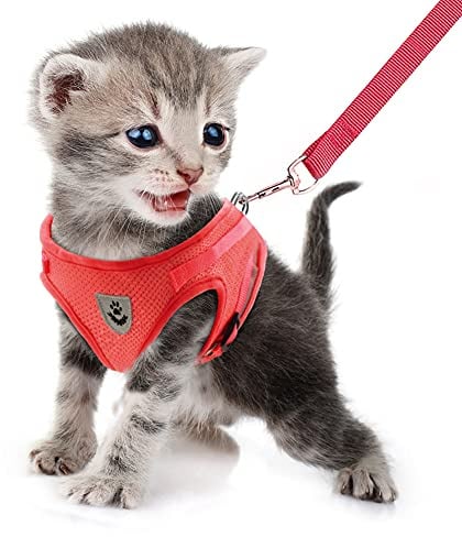 FEimaX Katzengeschirr mit Leine für Hunde Katzen Weich Mesh No Pull Hundegeschirr Reflektierende Verstellbare Atmungsaktive Welpen Brustgeschirr für Gehen Training