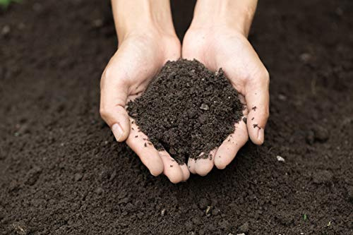 60L Torffreie Aussaaterde für Heckenpflanzen nachhaltig Gartenerde