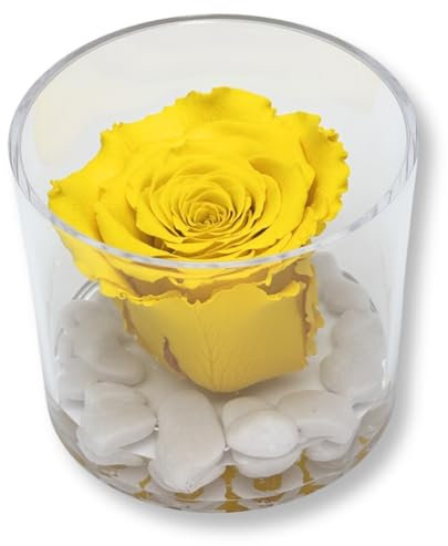 Premium-rose.com Box tondo con Rosa gialla Stabilizzata e Marmo di Carrara Idea regalo per lei, amica, Regalo Mamma, Natale, Cubo rosa gialla, Fatta in Italia (gialla 1094)